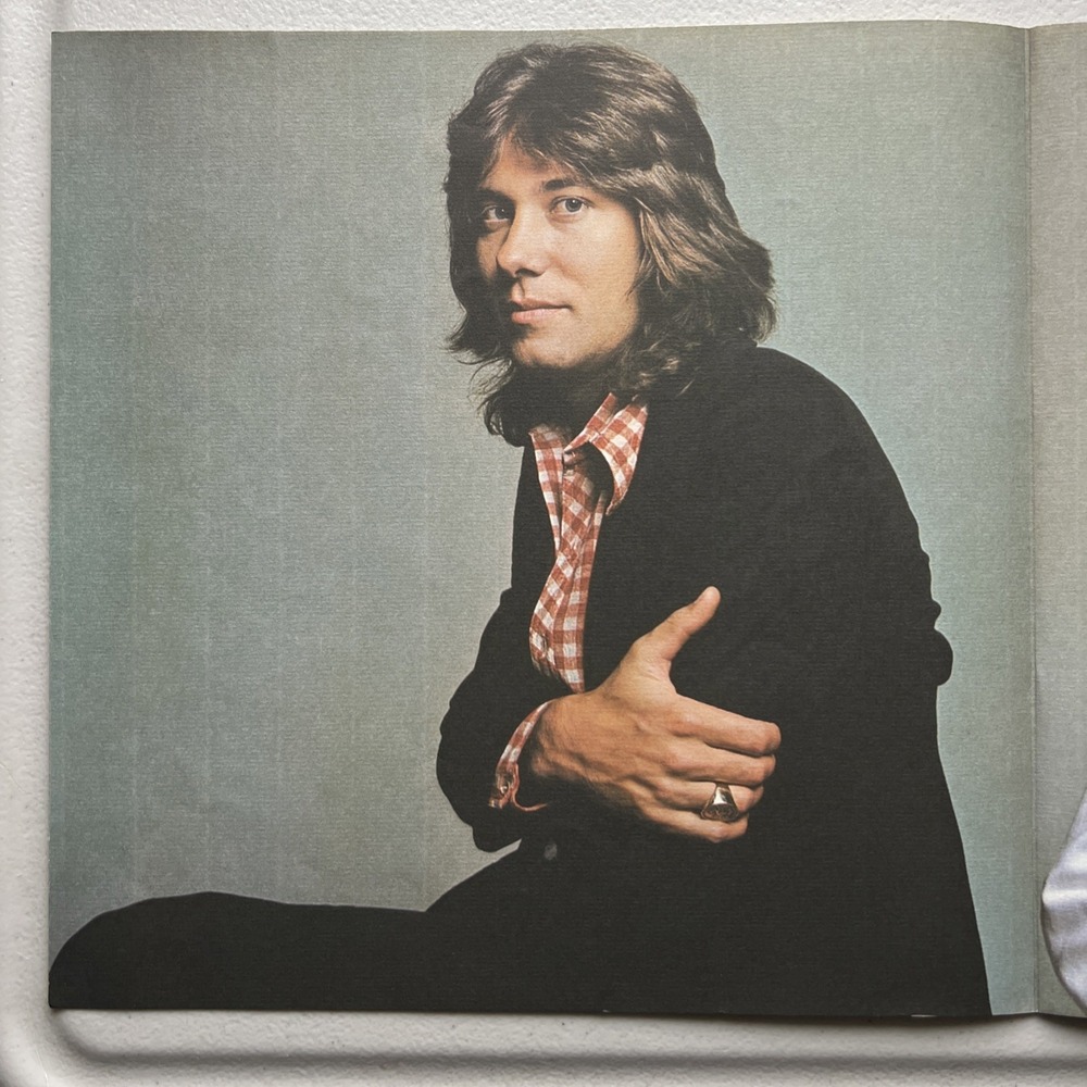 Chicago - Chicago Vinyl CARDBOARD SLEEVE ONLY POSTER NO VINYL Columbia KC 31102 - Picture 9 of 15